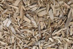 biomass boilers Pallister